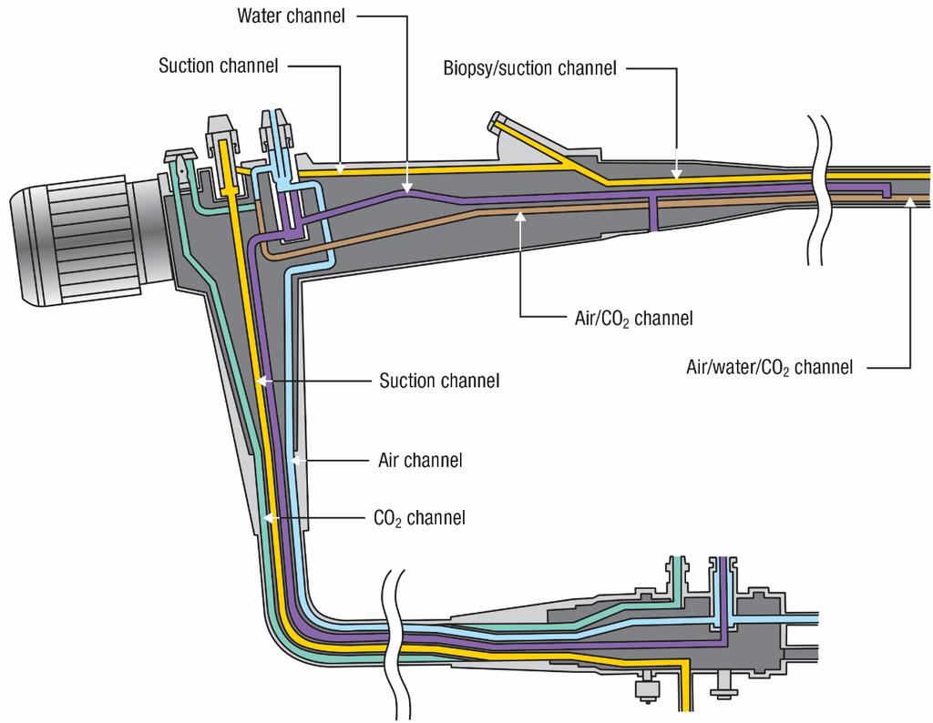 Resim 4: Endoskop kanal yapısı Fırçalar mümkün olduğunca tek kullanımlık tercih edilmelidir.