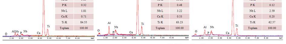 140-HT Ti6Al7Nb alaşımlarının her birinden alınan EDS spektrumlarında kalsiyum ve fosfat piklerine rastlanmaktadır.