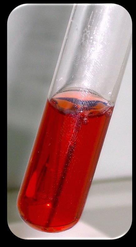 Seliwanoff Deneyi Deney için gerekli kimyasal maddeler Seliwanoff Ayrıca 0.5 g Rezorsin 330 ml yoğun HCl de eritilir ve distile su ile litreye tamamlanır. %1 lik fruktoz çözeltisi.