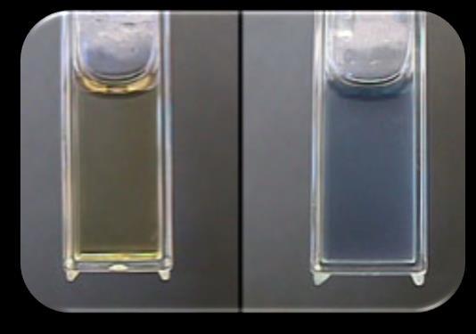 Bial Deneyi Deneyin yapılışı Bir deney tüpünde 3 ml bial ayıracına 5 ml ksiloz çözeltisi eklenir ve bir dakika kaynatılır.