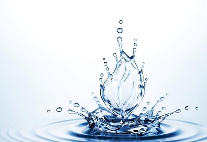 Besi Ortamının Bileşimi Su İn vitro kültürde kullanılan besi ortamlarının % 95 ini oluşturan suyun inorganik maddeler, mikroorganizmalar ve organik maddelerden arındırılmış olmalıdır.