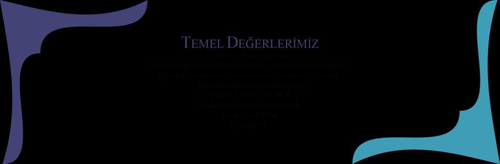 1. GENEL DEĞERLENDİRME 1.