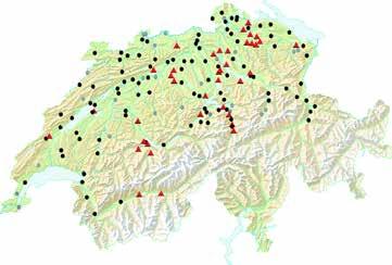 Isırılan yeri gözlemlemek çok önemlidir. Ateş çıkması, baş dönmesi, ısırık yerinde kırmızı halka oluşması gibi durumlarda mutlaka doktorunuza görünün.