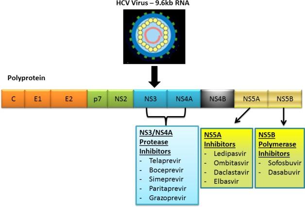 HEPATİT C TEDAVİSİ: DİREK ETKİLİ ANTİVİRAL İLAÇLAR 2016 Sofosbuvir Ledipasvir Ribavirin Sofosbuvir Velpatasvir Daclatasvir Asunaprevir Grazoprevir