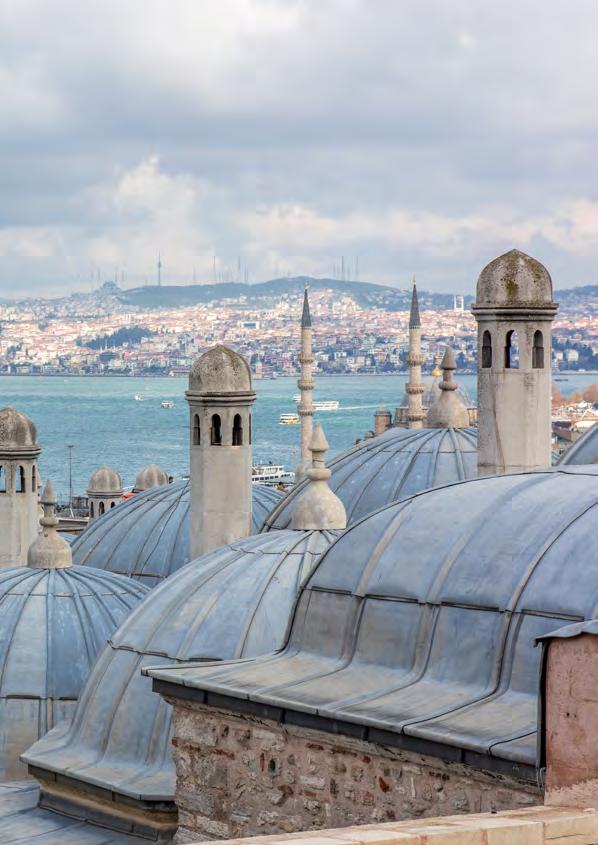 Ajans kurulduğu günden bugüne kurumsallaşma ve kurumsal kapasitesini artırma doğrultusunda önemli çalışmalar yürütmüştür.