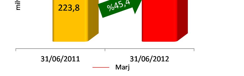 FAVÖK ün %49,7 arttığı bu çeyrekte, FAVÖK marjı geçen senenin aynı dönemindeki %16,8 seviyesinden %19,8 seviyesine yükselmiştir.