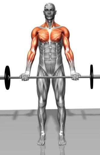 Barbell