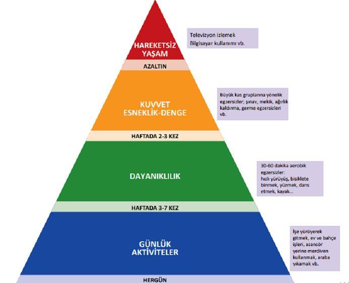 Türkiye Fiziksel Aktivite Rehberi