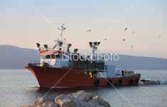 4 İdris Balıkçılık 2010 Faaliyet Raporu Kısaca İdris Balıkçılık Denizin zenginliğini ayağınıza getiriyoruz. Avlanma An nam legere principes, labores meliore pertinacia ex per.