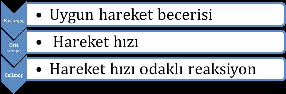 32 Spor Bilimleri Alanında Akademik Çalışmalar bildikleri planlanmış drillerdir. Bunlar en temel drillerdir ve acemilere uygun hareket düzenlerini öğretirken kullanılabilirler.