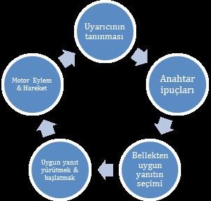 36 Spor Bilimleri Alanında Akademik Çalışmalar ATHLETIC HOUSE METODOLOJİSİ 1. KARAR VERME 2. KÜÇÜLME 3. STOP BACAĞI YERLEŞİMİ 4. GEÇİŞ VE AKTARMA 5.