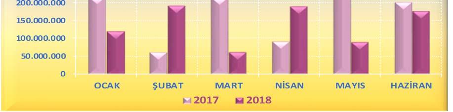 2018 mali yılı Ocak Haziran döneminde Sermaye Giderlerinde 2017 yılının aynı dönemine göre % 29,56 oranında bir azalış gerçekleşmiştir.
