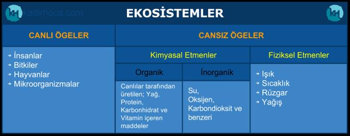 Canlılar küresi (Biyosfer) Yerküre (Litosfer) Hava küre (Atmosfer) Su küre (Hidrosfer) Coğrafyanın yararlandığı başlıca bilimler; antropoloji (insan kökenini inceleyen bilim), astronomi (uzay