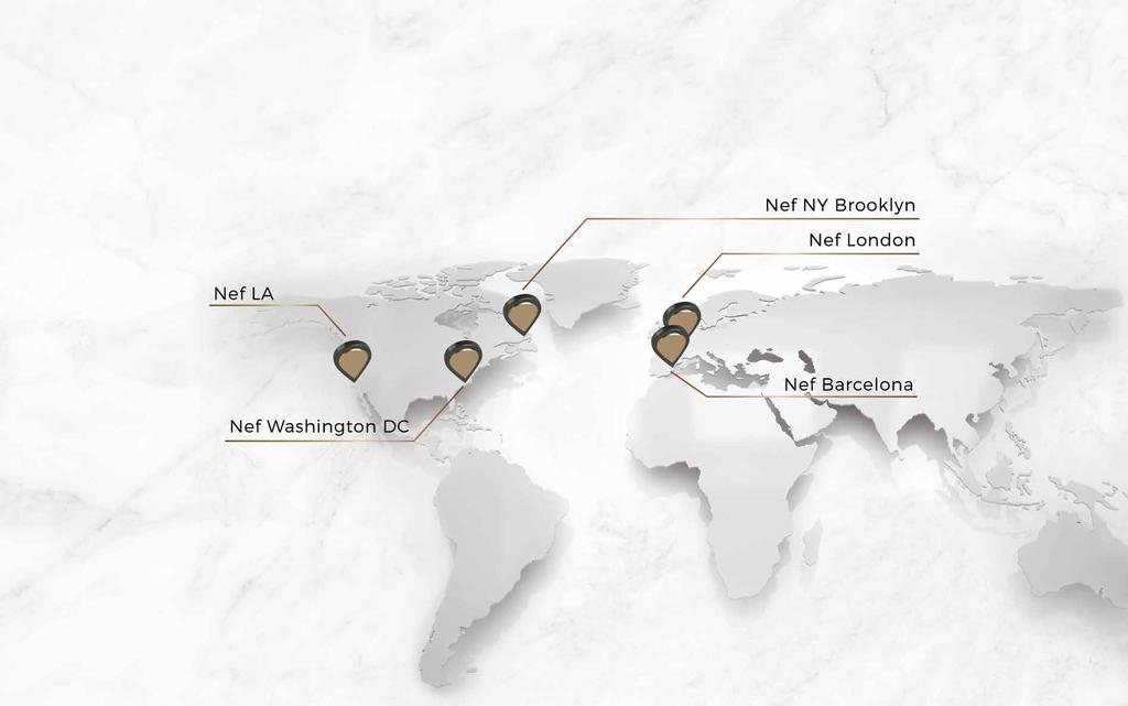 Nef, kurulduğu günden bugüne kazandığı başarıları, Nef Global platformuyla yurt dışına taşıyor.