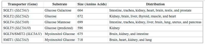 İnsanda Sodyum Glukoz Taşıyıcılar (transporter)