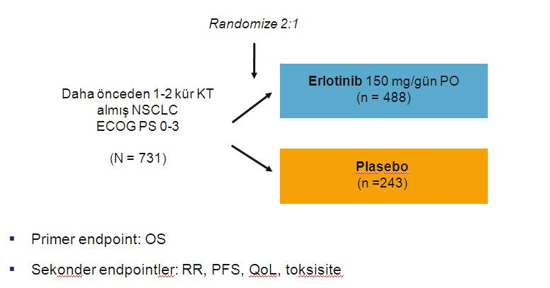 BR.21 (Erlotinib vs