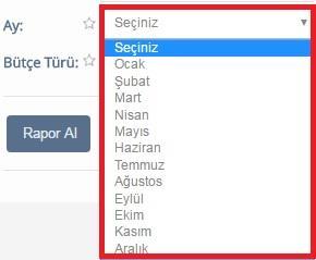 Bütçe İzleme Ay için combobox tan ilgili ay seçilir.