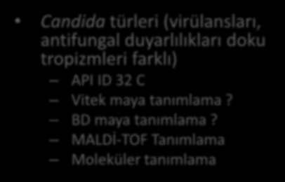 TANIMLAMA Candida türleri virüla sları, antifungal duyarlılıkları doku tropiz leri farklı API ID 32 C Vitek aya ta