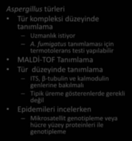 MALDİ-TOF Ta ı la a Moleküler ta ı la a Mucorales takı düzeyi de ta ı la a Fusarium i s düzeyi de ta ı la a ITS tür