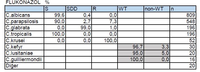 12 merkez 1996-2017 n= 1887 Hacettepe Ü iv. - Mikoloji La oratuvarı CLSI referans ikrodilüsyo Kandidemi - Çok Merkezli Antifungal Dire ç Ha ettepe Ü iv, Dokuz Eylül Ü iv, Ege Ü iv, Er iyes Ü iv.