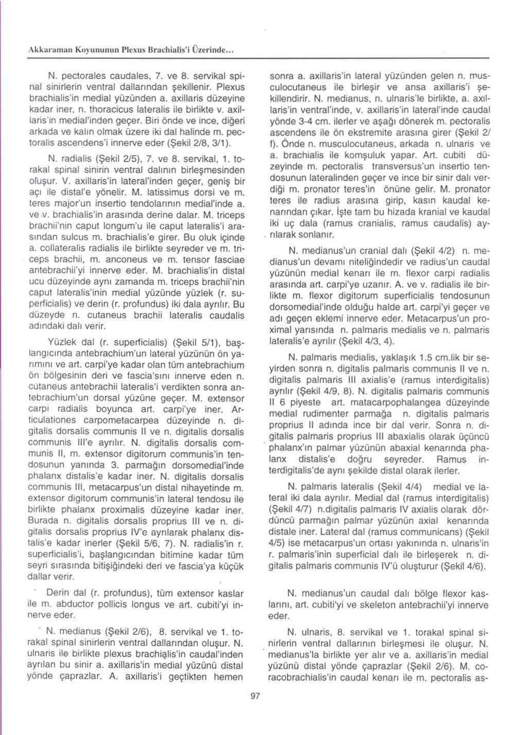 Akkarllman Kuyu nunun Plcxus Bnlchialis'i Ourindc... N. pectorales caudales, 7. ve 8. servikal spinal sinirlerin ventral dal1anndan ~ekil1enir. Plexus brachialis'in medial yozonden a.