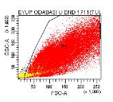 f) Verilerin Analizi Toplanan hücrelerin CD45-SSC nokta grafiği üzerindeki dağılımları kullanılarak CD45- olan hücreler işaretlendi.
