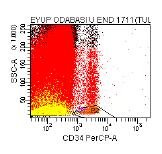 Aynı örneklerde eş zamanlı olarak CD45 zayıf + /+ olan hücreler de analize dahil edilerek total CD34 sayımları da yapıldı.