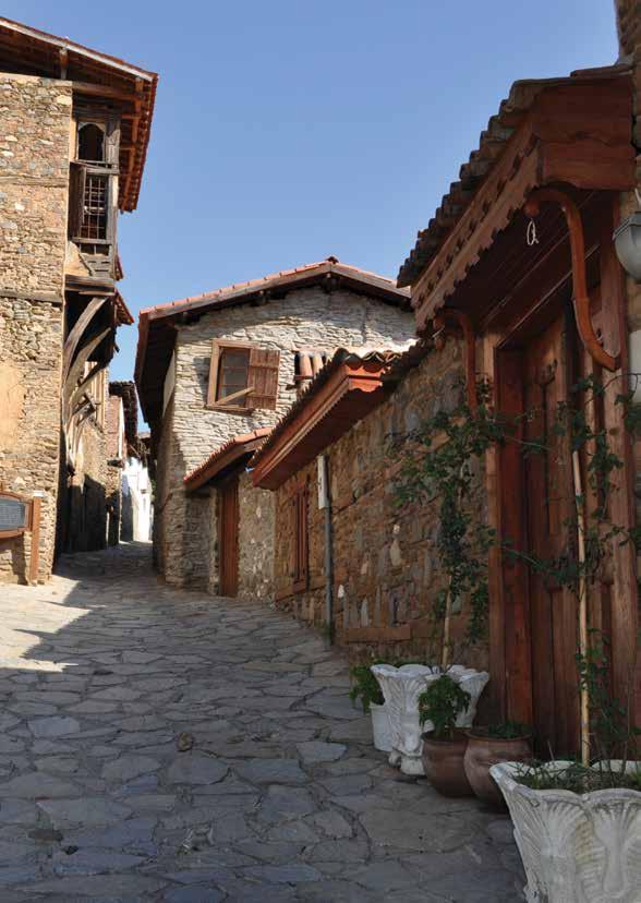 Böylece kentin kültürüne ve belleğine gönül vermiş yerel yönetim kadroları ve sivillerin yoğun çabalarıyla Birgi de