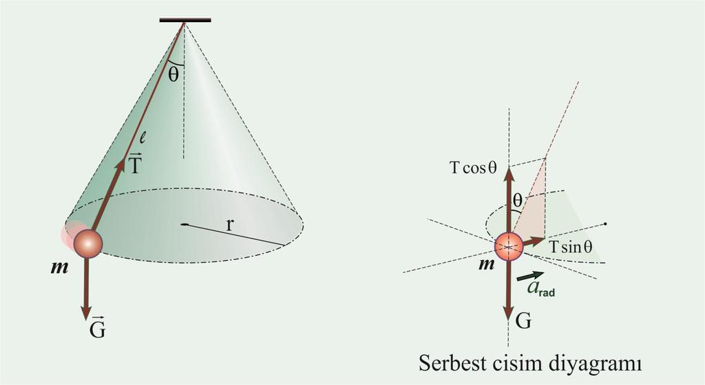 Örnek 6.6 Konik Sarkaç Küçük bir cisim l uzunluklu iple tavana asılmıştır.