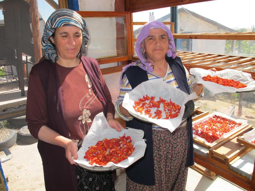 Alternatif kaynaklardan güneş enerjisinin kullanımını teşvik eden etkinlikler düzenlenmiş ve bu kullanımın köy halkı tarafından benimsenmesi amaçlanmıştır.