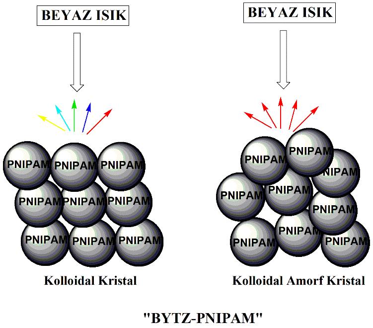 (07) ANTİBAKTERİYEL UYGULAMA Ürünümüz Gümüş partiküller (BYTZ-Ag), antibakteriyel özellikleri nedeniyle geniş uygulama alanı bulmaktadırlar.