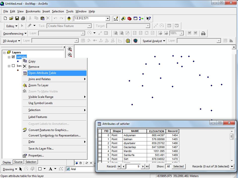 ArcGIS VERİTABANI ALAN KODLARI Integer