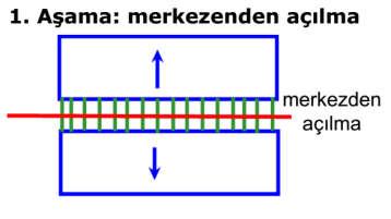 VEINS (DAMARLAR) Sintaksial Damarlar damarı oluşturan lifler duvar