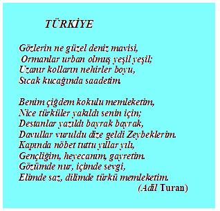 ÇALIŞMA KÂĞIDI:1 Ünite: ADIM ADIM TÜRKİYE Öğrencinin adı-soyadı: Öğrencinin numarası: Yukarıdaki TÜRKİYE şiirini okuyarak, aşağıdaki soruları cevaplayınız.