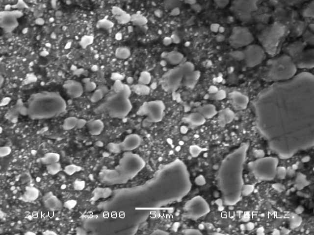 71 Resim 8.15. İşlemsiz DIN 1.2080 soğuk iş takım çeliğinin SEM görüntüsü X3000 SEM görüntülerini incelediğimiz zaman DIN 1.