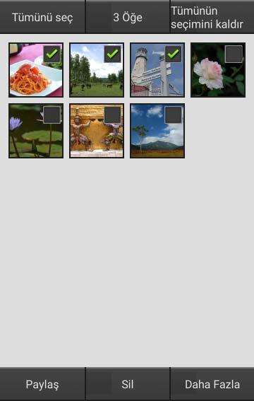 D 117 zzbirden Fazla Resmi Silme 1 Onay kutularını görüntüleyin.
