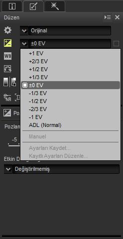 0,01 EV artan adımlarda, +5,0 ve 5,0 EV arasındaki değerler için, görüntü ayar paletindeki