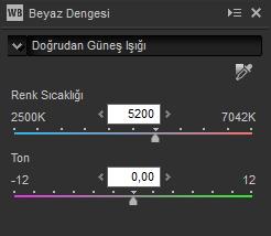 Ton 12 ve +12 arasındaki değerler ayarlanabilir: daha az yeşil ve daha fazla macenta için daha düşük değerler, zıt etki için ise daha yüksek değerler seçin.