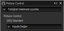 Picture Control (RAW Görüntüler) Picture Control ayarlarını yapın. Araç listesindeki açılır menü, önceden ayarlanan Picture Control ler arasından seçim yapma olanağı sunar.