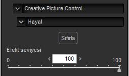Son Picture Control ler Aşağıdaki parametreler, renkli baskı işlemi olarak En son picture control seçildiğinde veya resim yalnızca en son Picture Control leri destekleyen bir fotoğraf makinesiyle