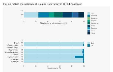 CAESAR sürveyansına Türkiye