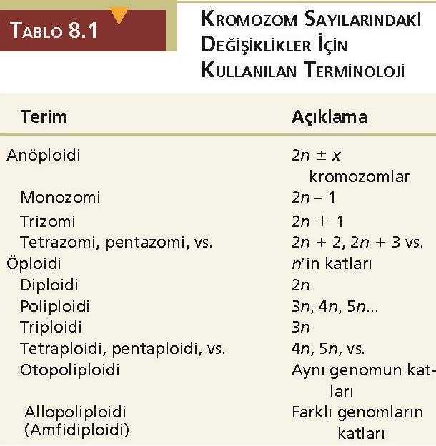 3.1 Kromozom sayısındaki değişiklikler özel bir terminoloji ile ifade edilir.