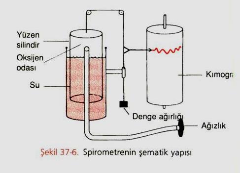 Kimograf Hacim değişikliklerinin