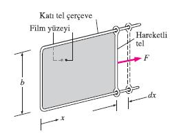 bir kuvvetin etkisi altında yay gibi davranırlar.