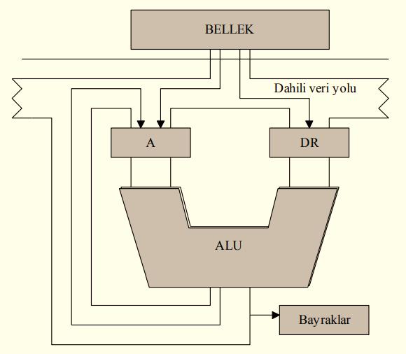 ALU Ana hafızadan ve/veya register lardan verileri alır ve sonuçların bu ünitelere yazılmasını sağlar.