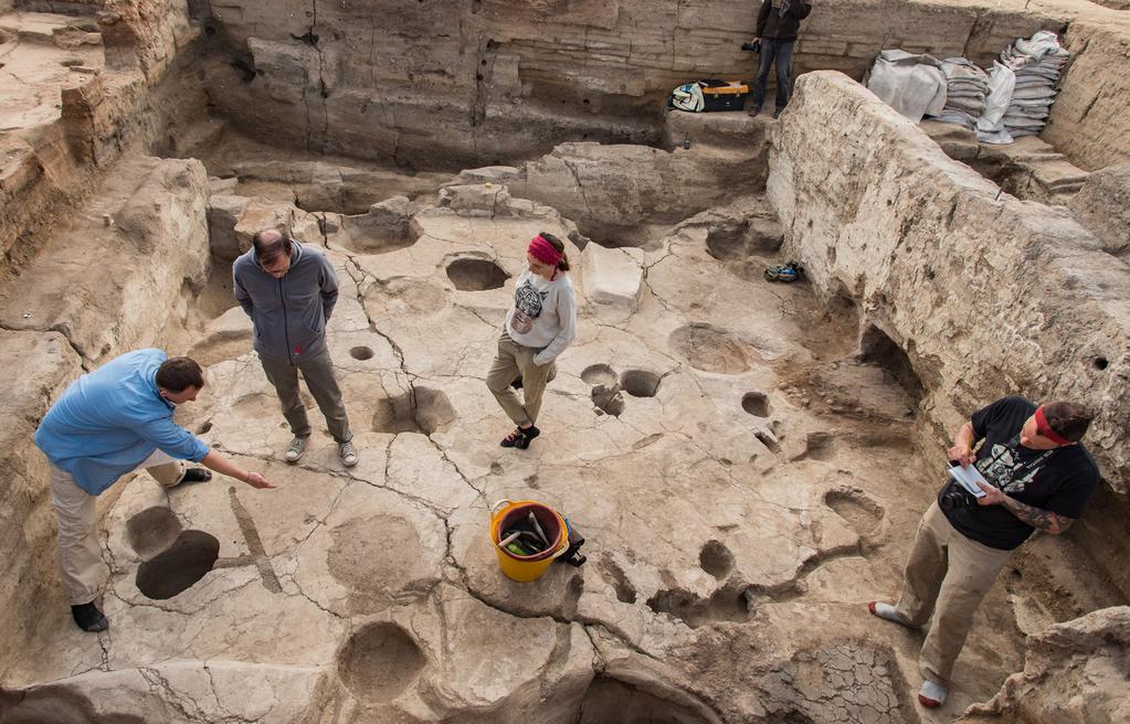 (3) continued microstratigraphic excavation of the external midden space located immediately to the east of Building 131, and (4) further excavations in Building 52 to better understand its