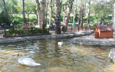 Yazın sıcak günlerinde fıskiyeli havuz başı, sıcak havadan bunalanları serinletmek için uygun bir mekândır. Parkın simgesi olan Güven Anıtı nı Avusturyalı mimar Holzmeister 1931 yılında tasarlamıştır.