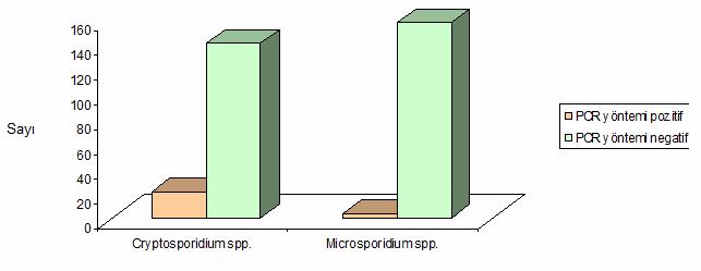 Tablo 11: Microsporidium spp. için boyalı preparattaki etkenin yoğunluğu ile PCR sonuçlarının karşılaştırılması.