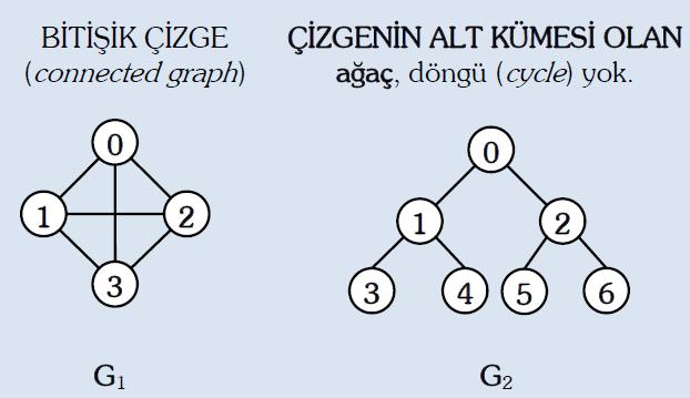 Komşuluk Matrisi