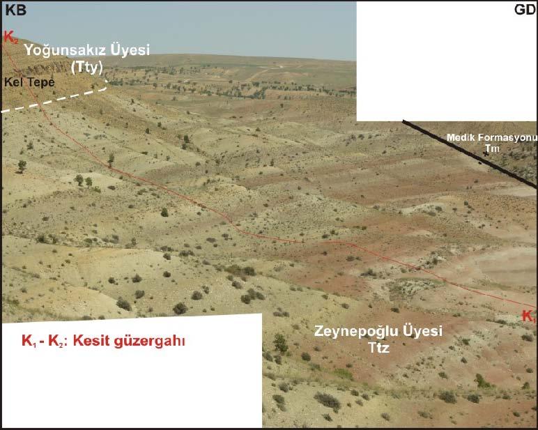 içerisinde genelde kumtaşları altta, çamurtaşları ise üst kesimlerde gözlenmektedir. Üste doğru Yoğunsakız üyesine yanal ve düşey geçişlidir (Şekil 4.27.